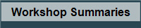 Workshop Summaries